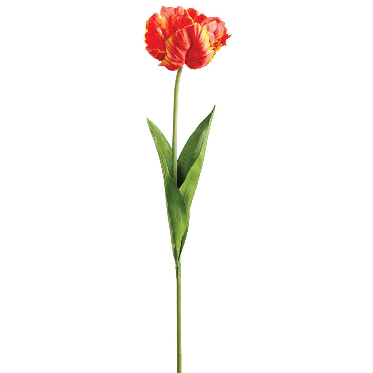 24 Pack: Coral Parrot Tulip Spray